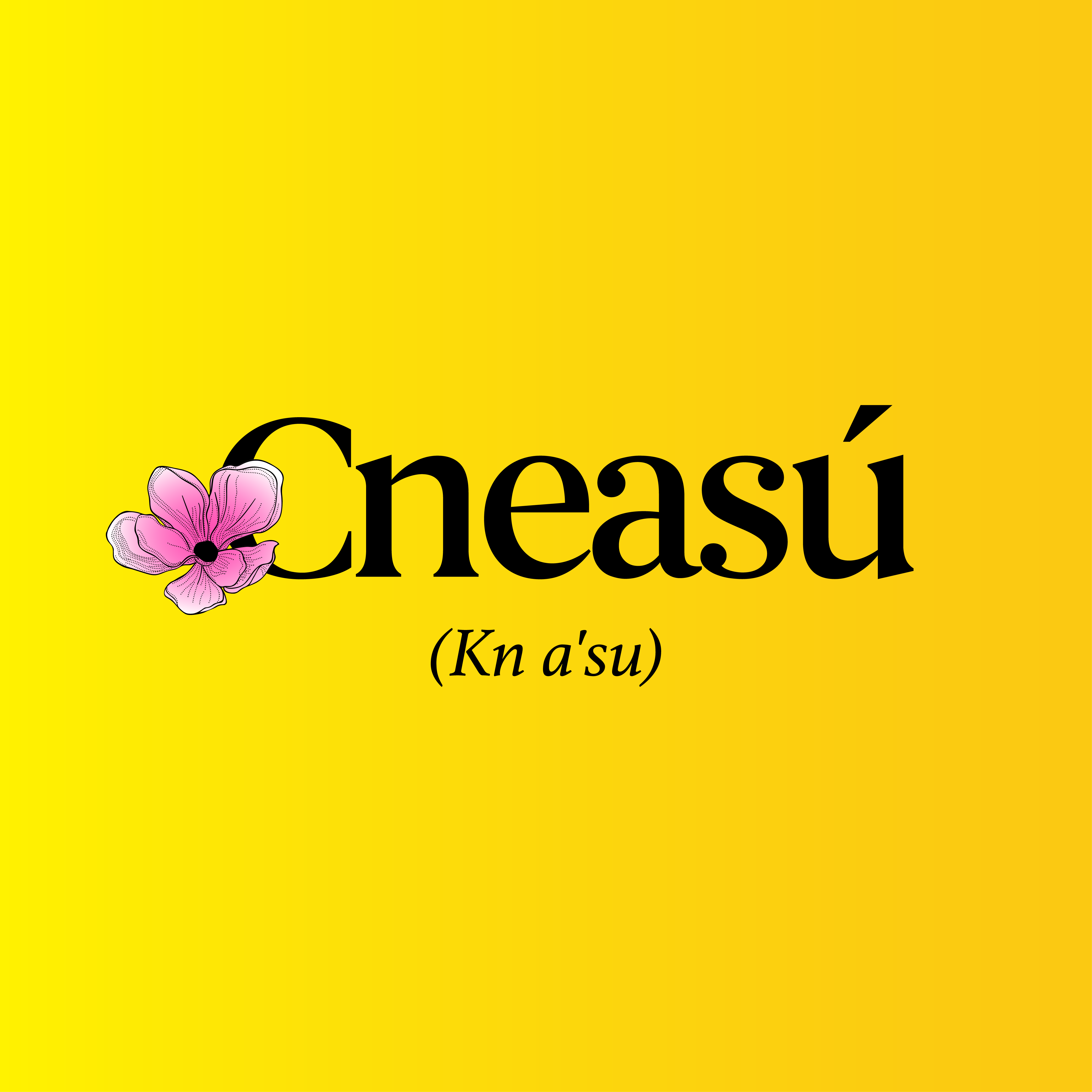 Cneasu╠ü_8. Main on Yellow